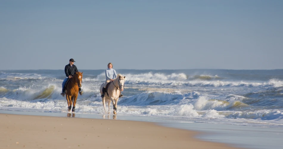 Cosas que hacer en la playa de Juhu para un día perfecto.
